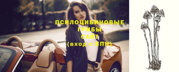 прущая мука Елизово