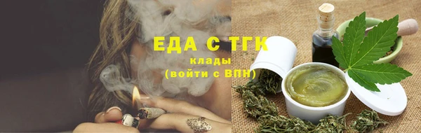 молекула духа Ельня