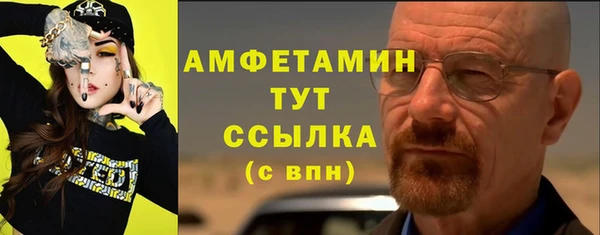 молекула духа Ельня