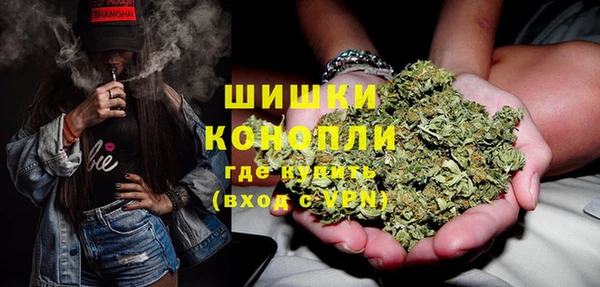 молекула духа Ельня