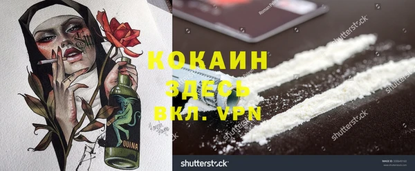 мдпв Чердынь