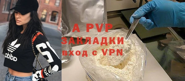молекула духа Ельня