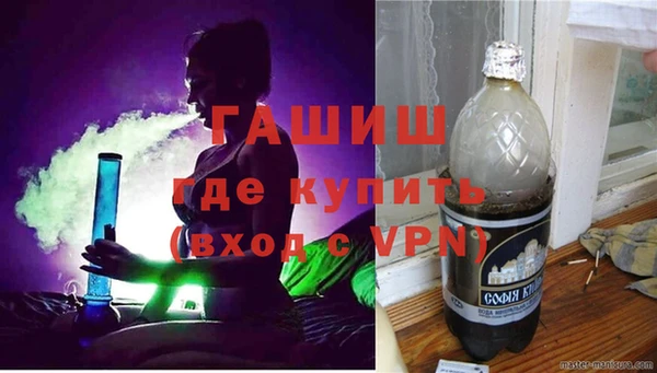 молекула духа Ельня