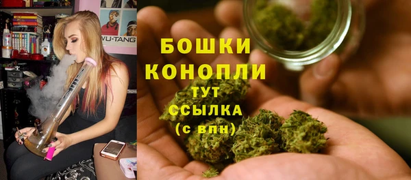 молекула духа Ельня