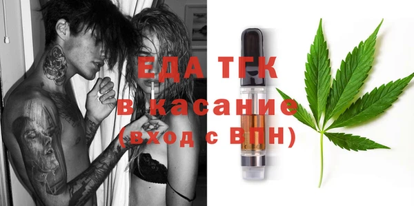 молекула духа Ельня